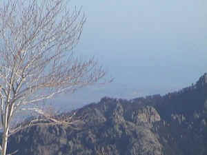 ghisoni3.JPG (26544 octets)